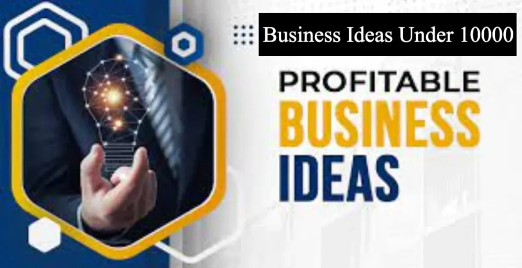Business Ideas Under 10000